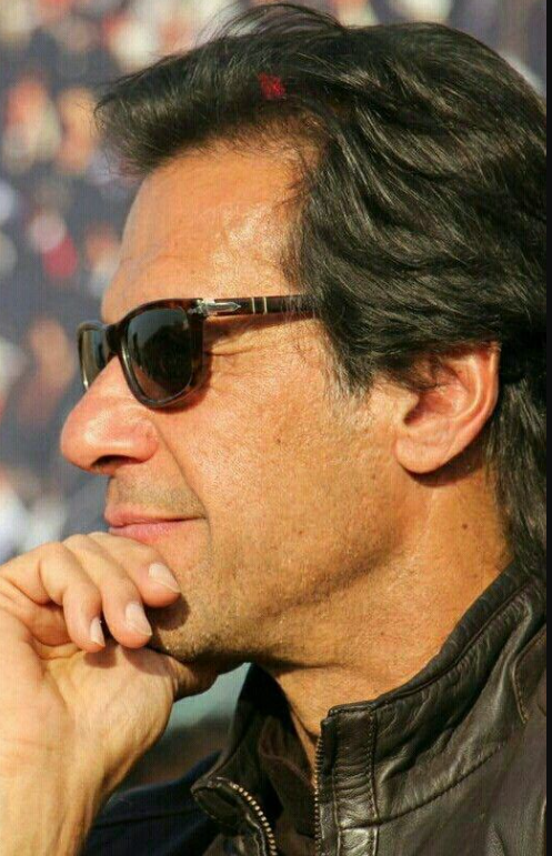 Persol (Brown)