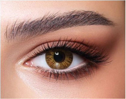 Bella Natural (Cool hazel)